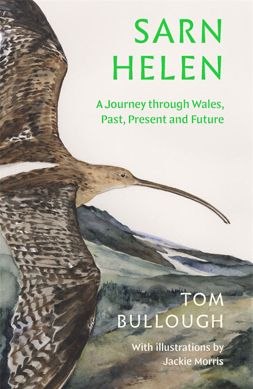 The cover of the book with the text: SARN HELEN A Journey through Wales, Past, Future, and Present, Tom Bullough, with illustrations by Jackie Morris in green and white type. A bird is pictured in close up flying over a mountainous landscape. 