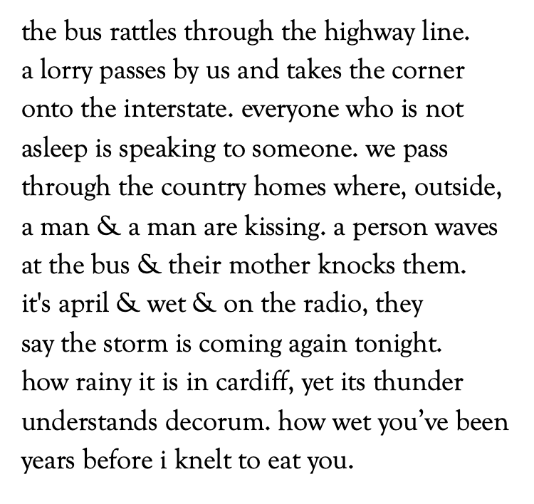 the bus rattles through the highway line.
a lorry passes by us and takes the corner
onto the interstate. everyone who is not
asleep is speaking to someone. we pass
through the country homes where, outside,
a man & a man are kissing. a person waves
at the bus & their mother knocks them.
it's april & wet & on the radio, they
say the storm is coming again tonight.
how rainy it is in cardiff, yet its thunder
understands decorum. how wet you’ve been
years before i knelt to eat you.
