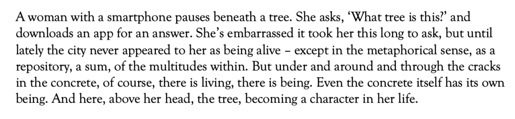 A woman with a smartphone pauses beneath a tree. She asks, ‘What tree is this?’ and downloads an app for an answer. She’s embarrassed it took her this long to ask, but until lately the city never appeared to her as being alive – except in the metaphorical sense, as a repository, a sum, of the multitudes within. But under and around and through the cracks in the concrete, of course, there is living, there is being. Even the concrete itself has its own being. And here, above her head, the tree, becoming a character in her life.
