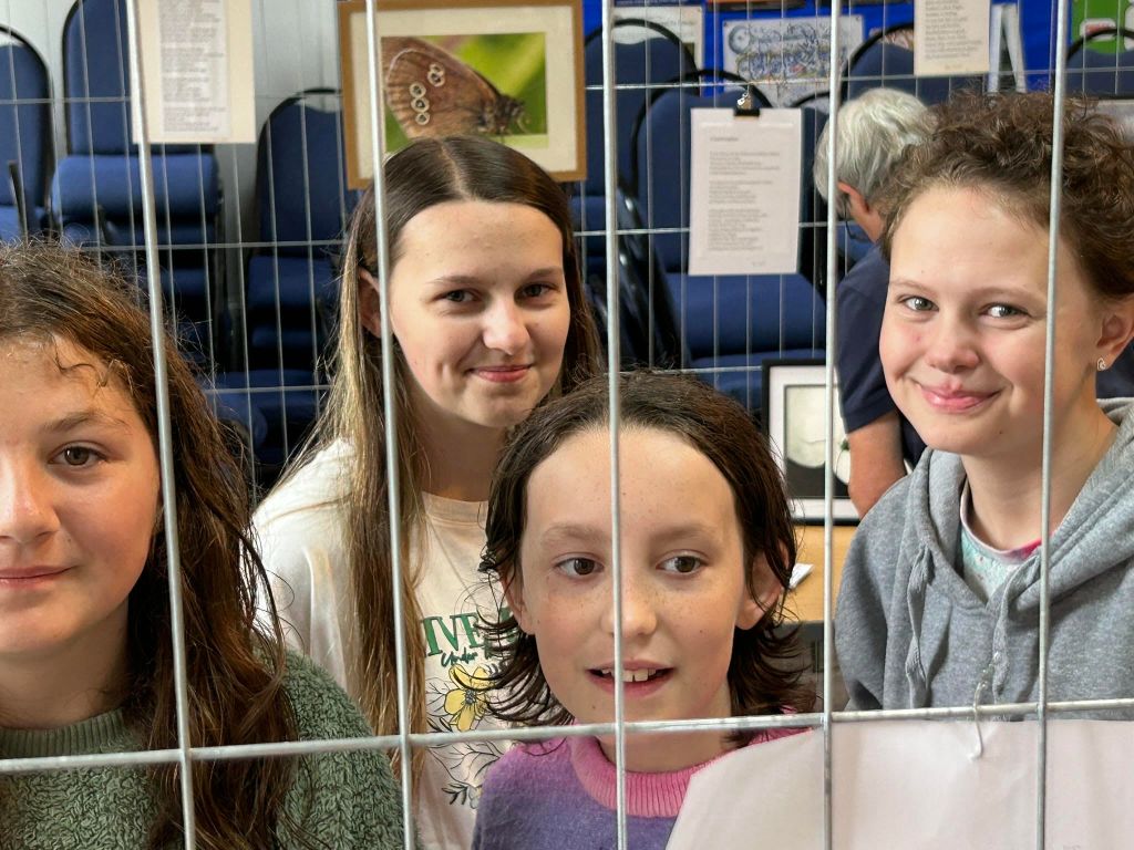 Kids at an event "Art for Common" look through the wire frame that art is hung from, with more artworks hanging behind them.