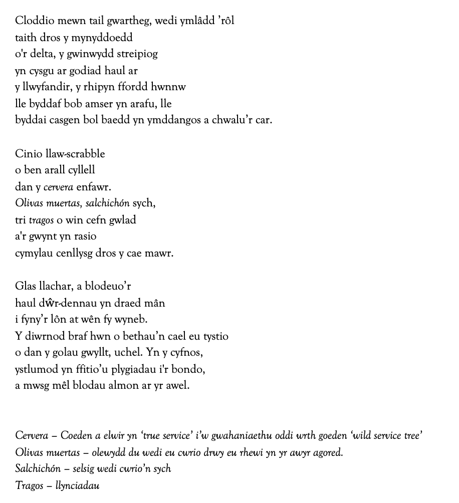 Cloddio mewn tail gwartheg, wedi ymlâdd ’rôl
taith dros y mynyddoedd
o'r delta, y gwinwydd streipiog
yn cysgu ar godiad haul ar 
y llwyfandir, y rhipyn ffordd hwnnw 
lle byddaf bob amser yn arafu, lle 
byddai casgen bol baedd yn ymddangos a chwalu’r car.

Cinio llaw-scrabble
o ben arall cyllell
dan y cervera enfawr.
Olivas muertas, salchichón sych,
tri tragos o win cefn gwlad
a'r gwynt yn rasio 
cymylau cenllysg dros y cae mawr.

Glas llachar, a blodeuo’r
haul dŵr-dennau yn draed mân
i fyny’r lôn at wên fy wyneb. 
Y diwrnod braf hwn o bethau’n cael eu tystio
o dan y golau gwyllt, uchel. Yn y cyfnos, 
ystlumod yn ffitio’u plygiadau i'r bondo, 
a mwsg mêl blodau almon ar yr awel.


Cervera – Coeden a elwir yn ‘true service’ i’w gwahaniaethu oddi wrth goeden ‘wild service tree’
Olivas muertas – olewydd du wedi eu cwrio drwy eu rhewi yn yr awyr agored.
Salchichón – selsig wedi cwrio’n sych  
Tragos – llynciadau
