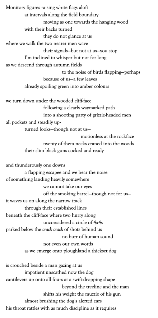 Muzzle 
 
Monitory figures raising white flags aloft 
at intervals along the field boundary 
moving as one towards the hanging wood 
with their backs turned 
they do not glance at us 
where we walk the two nearer men wave 
their signals—but not at us—you stop 
I’m inclined to whisper but not for long 
as we descend through autumn fields 
to the noise of birds flapping—perhaps 
because of us—a few leaves 
already spoiling green into amber colours 
 
we turn down under the wooded cliff-face 
following a clearly waymarked path 
into a shooting party of grizzle-headed men 
all pockets and steadily up- 
turned looks—though not at us— 
motionless at the rockface 
twenty of them necks craned into the woods 
their slim black guns cocked and ready 
 
and thunderously one downs 
a flapping escapee and we hear the noise 
of something landing heavily somewhere 
we cannot take our eyes 
off the smoking barrel—though not for us— 
it waves us on along the narrow track  
through their established lines 
beneath the cliff-face where two hurry along 
unconsidered a circle of 4x4s 
parked below the crack crack of shots behind us 
no burr of human sound 
not even our own words 
as we emerge onto ploughland a thickset dog 
 
is crouched beside a man gazing at us 
impatient unscathed now the dog 
cantilevers up onto all fours at a swift-dropping shape 
beyond the treeline and the man 
shifts his weight the muzzle of his gun 
almost brushing the dog’s alerted ears 
his throat rattles with as much discipline as it requires 
 


