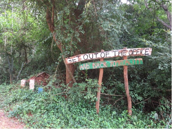 A sign in the jungle reads "Get out of the office and back to reality"