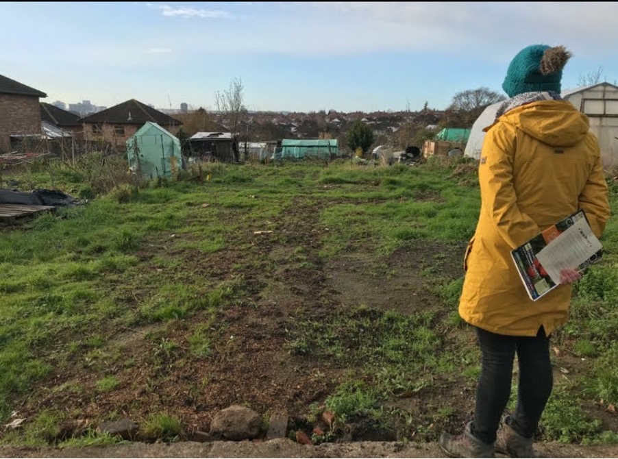 Hilary surveys the local allotment. 