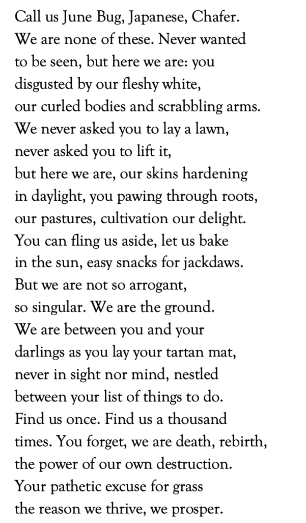 Call us June Bug, Japanese, Chafer.
We are none of these. Never wanted
to be seen, but here we are: you
disgusted by our fleshy white,
our curled bodies and scrabbling arms.
We never asked you to lay a lawn,
never asked you to lift it, 
but here we are, our skins hardening
in daylight, you pawing through roots,
our pastures, cultivation our delight.
You can fling us aside, let us bake 
in the sun, easy snacks for jackdaws.
But we are not so arrogant, 
so singular. We are the ground.
We are between you and your 
darlings as you lay your tartan mat,
never in sight nor mind, nestled 
between your list of things to do.
Find us once. Find us a thousand 
times. You forget, we are death, rebirth, 
the power of our own destruction. 
Your pathetic excuse for grass
the reason we thrive, we prosper.
