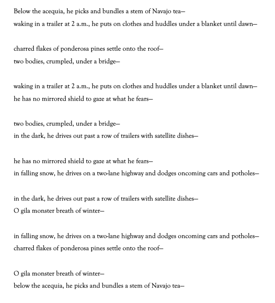Below the acequia, he picks and bundles a stem of Navajo tea—
waking in a trailer at 2 a.m., he puts on clothes and huddles under a blanket until dawn—

charred flakes of ponderosa pines settle onto the roof—
two bodies, crumpled, under a bridge—

waking in a trailer at 2 a.m., he puts on clothes and huddles under a blanket until dawn—
he has no mirrored shield to gaze at what he fears—

two bodies, crumpled, under a bridge—
in the dark, he drives out past a row of trailers with satellite dishes—

he has no mirrored shield to gaze at what he fears—
in falling snow, he drives on a two-lane highway and dodges oncoming cars and potholes—

in the dark, he drives out past a row of trailers with satellite dishes—
O gila monster breath of winter—

in falling snow, he drives on a two-lane highway and dodges oncoming cars and potholes—
charred flakes of ponderosa pines settle onto the roof—

O gila monster breath of winter—
below the acequia, he picks and bundles a stem of Navajo tea—
