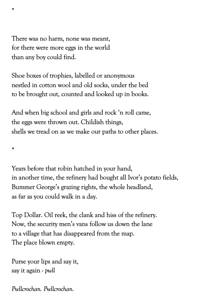 Poem text: There was no harm, none was meant,
for there were more eggs in the world
than any boy could find.
Shoe boxes of trophies, labelled or anonymous
nestled in cotton wool and old socks, under the bed
to be brought out, counted and looked up in books.
And when big school and girls and rock ‘n roll came,
the eggs were thrown out. Childish things,
shells we tread on as we make our paths to other places.
*
Years before that robin hatched in your hand,
in another time, the refinery had bought all Ivor’s potato fields,
Bummer George’s grazing rights, the whole headland,
as far as you could walk in a day.
Top Dollar. Oil reek, the clank and hiss of the refinery.
Now, the security men’s vans follow us down the lane
to a village that has disappeared from the map.
The place blown empty.
Purse your lips and say it,
say it again - pwll
Pwllcrochan. Pwllcrochan.