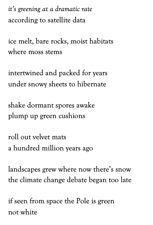 Poem text:
it’s greening at a dramatic rate
according to satellite data
ice melt, bare rocks, moist habitats
where moss stems
intertwined and packed for years
under snowy sheets to hibernate
shake dormant spores awake
plump up green cushions
roll out velvet mats
a hundred million years ago
landscapes grew where now there’s snow
the climate change debate began too late
if seen from space the Pole is green
not white