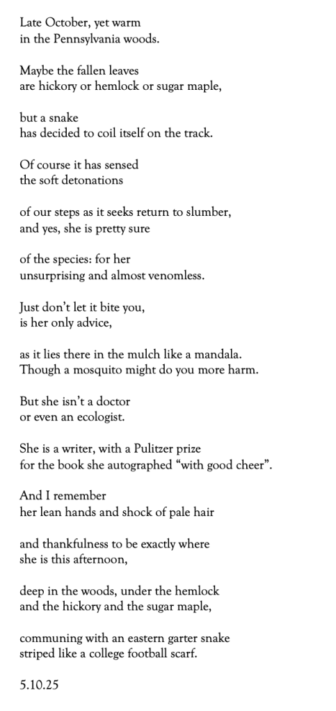Poem text of Annie Dillard and the Snake

Late October, yet warm
in the Pennsylvania woods.

Maybe the fallen leaves 
are hickory or hemlock or sugar maple, 

but a snake 
has decided to coil itself on the track.

Of course it has sensed
the soft detonations 

of our steps as it seeks return to slumber, 
and yes, she is pretty sure

of the species: for her
unsurprising and almost venomless.

Just don’t let it bite you, 
is her only advice,

as it lies there in the mulch like a mandala.
Though a mosquito might do you more harm.

But she isn’t a doctor 
or even an ecologist. 

She is a writer, with a Pulitzer prize
for the book she autographed “with good cheer”.

And I remember 
her lean hands and shock of pale hair

and thankfulness to be exactly where
she is this afternoon, 

deep in the woods, under the hemlock 
and the hickory and the sugar maple, 

communing with an eastern garter snake
striped like a college football scarf.

5.10.25


