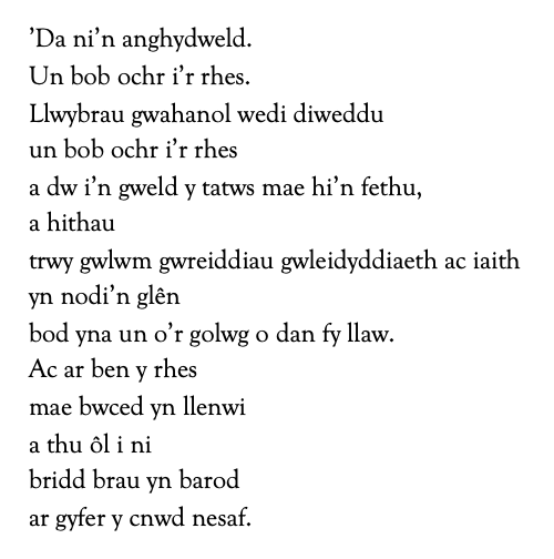 Credo: ’Da ni’n anghydweld.
Un bob ochr i’r rhes.
Llwybrau gwahanol wedi diweddu
un bob ochr i’r rhes
a dw i’n gweld y tatws mae hi’n fethu,
a hithau
trwy gwlwm gwreiddiau gwleidyddiaeth ac iaith
yn nodi’n glên
bod yna un o’r golwg o dan fy llaw.
Ac ar ben y rhes
mae bwced yn llenwi
a thu ôl i ni
bridd brau yn barod
ar gyfer y cnwd nesaf.