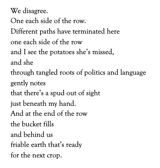 Poem text: We disagree.
One each side of the row.
Different paths have terminated here
one each side of the row
and I see the potatoes she’s missed,
and she
through tangled roots of politics and language
gently notes
that there’s a spud out of sight
just beneath my hand.
And at the end of the row
the bucket fills
and behind us
friable earth that’s ready
for the next crop.
