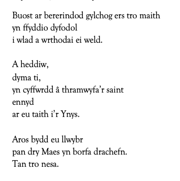 Cerdd: Buost ar bererindod gylchog ers tro maith
yn ffyddio dyfodol
i wlad a wrthodai ei weld.
A heddiw,
dyma ti,
yn cyffwrdd â thramwyfa’r saint
ennyd
ar eu taith i’r Ynys.
Aros bydd eu llwybr
pan dry Maes yn borfa drachefn.
Tan tro nesa.
