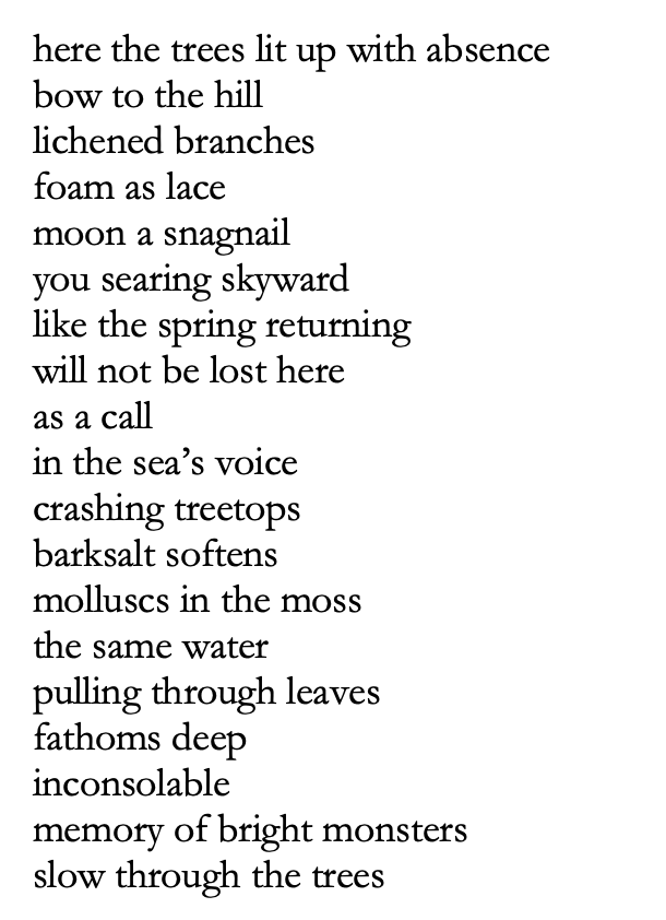 here the trees lit up with absence
bow to the hill
lichened branches
foam as lace
moon a snagnail
you searing skyward
like the spring returning 
will not be lost here
as a call 
in the sea’s voice 
crashing treetops
barksalt softens
molluscs in the moss
the same water 
pulling through leaves 
fathoms deep
inconsolable 
memory of bright monsters
slow through the trees
