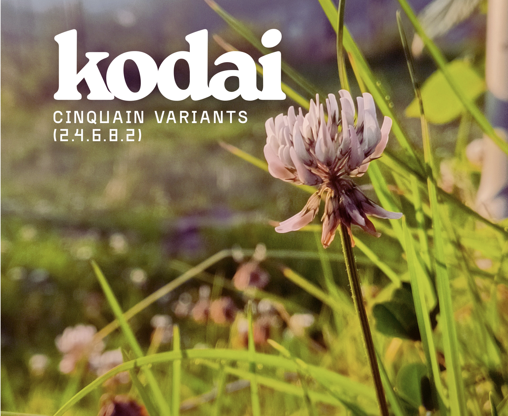 KODAI CINQUAIN VARIANTS 12.4.6.8.21 - a close up of a clover flower