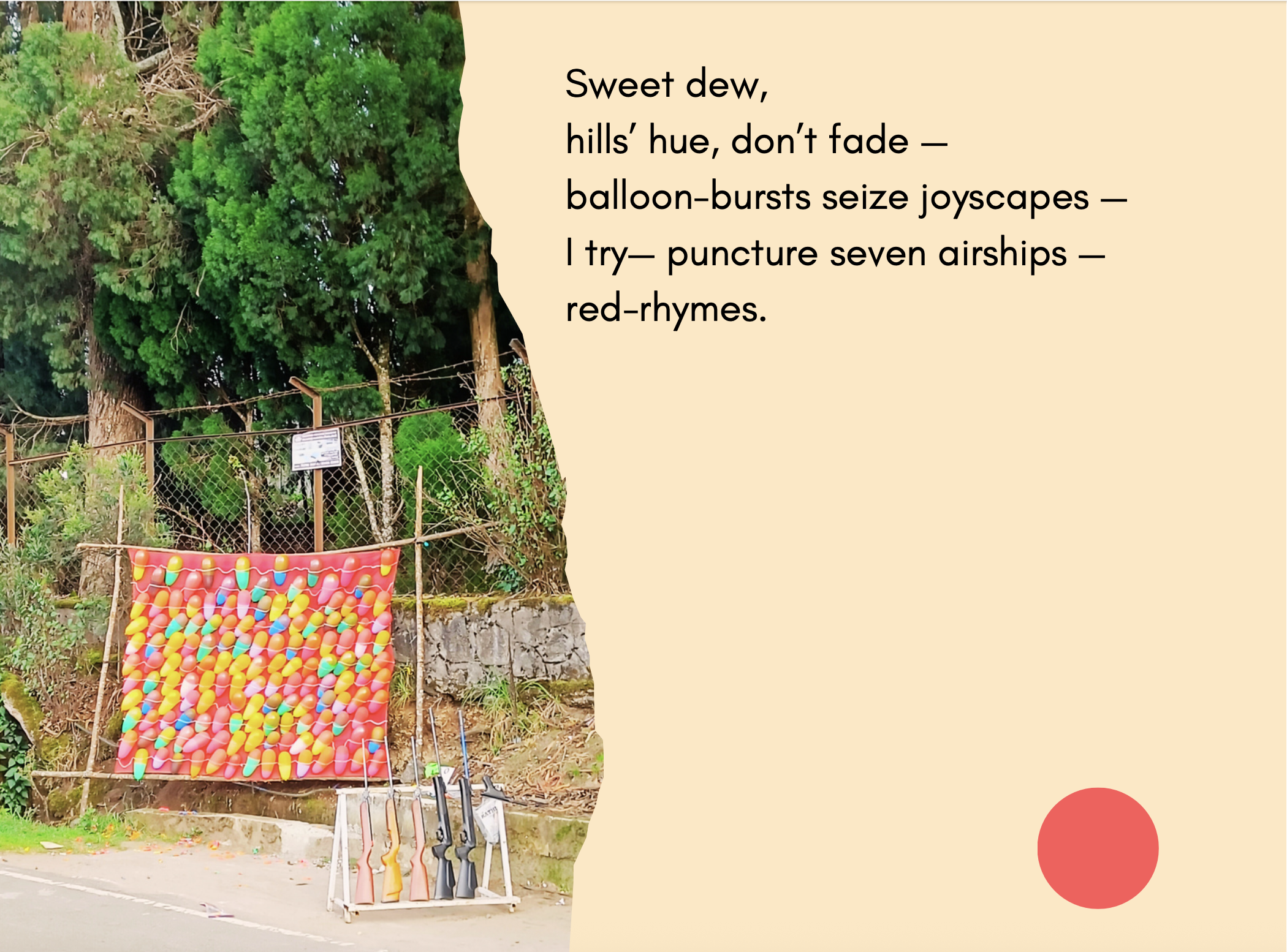 A rifle leans near a rack of balloons to shoot at - trees and vegetation behind - the text reads Sweet dew,
hills
’ hue, don
’t fade —
balloon-bursts seize joyscapes —
I try— puncture seven airships —
red-rhymes.