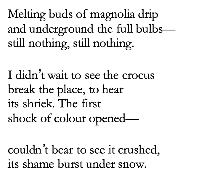 Melting buds of magnolia drip and underground the full bulbs— still nothing, still nothing. I didn’t wait to see the crocus break the place, to hear its shriek. The first shock of colour opened— couldn’t bear to see it crushed, its shame burst under snow.