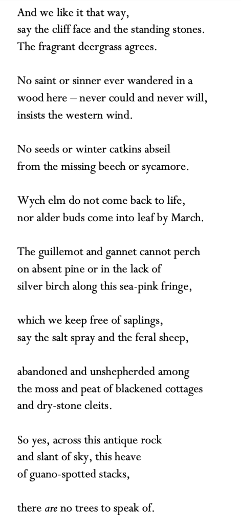 And we like it that way,
say the cliff face and the standing stones.
The fragrant deergrass agrees.
No saint or sinner ever wandered in a
wood here – never could and never will,
insists the western wind.
No seeds or winter catkins abseil
from the missing beech or sycamore.
Wych elm do not come back to life,
nor alder buds come into leaf by March.
The guillemot and gannet cannot perch
on absent pine or in the lack of
silver birch along this sea-pink fringe,
which we keep free of saplings,
say the salt spray and the feral sheep,
abandoned and unshepherded among
the moss and peat of blackened cottages
and dry-stone cleits.
So yes, across this antique rock
and slant of sky, this heave
of guano-spotted stacks,
there are no trees to speak of.