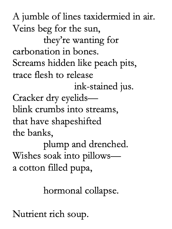 A jumble of lines taxidermied in air.
Veins beg for the sun,
they’re wanting for
carbonation in bones.
Screams hidden like peach pits,
trace flesh to release
ink-stained jus.
Cracker dry eyelids—
blink crumbs into streams,
that have shapeshifted
the banks,
plump and drenched.
Wishes soak into pillows—
a cotton filled pupa,
hormonal collapse.
Nutrient rich soup.