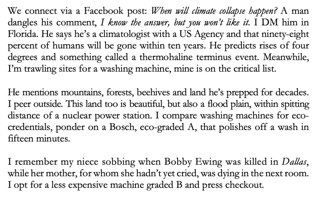 We connect via a Facebook post: When will climate collapse happen? A man dangles his comment, I know the answer, but you won’t like it. I DM him in Florida. He says he’s a climatologist with a US Agency and that ninety-eight percent of humans will be gone within ten years. He predicts rises of four degrees and something called a thermohaline terminus event. Meanwhile, I’m trawling sites for a washing machine, mine is on the critical list. 

He mentions mountains, forests, beehives and land he’s prepped for decades.   I peer outside. This land too is beautiful, but also a flood plain, within spitting distance of a nuclear power station. I compare washing machines for eco-credentials, ponder on a Bosch, eco-graded A, that polishes off a wash in fifteen minutes. 

I remember my niece sobbing when Bobby Ewing was killed in Dallas, while her mother, for whom she hadn’t yet cried, was dying in the next room. I opt for a less expensive machine graded B and press checkout.
