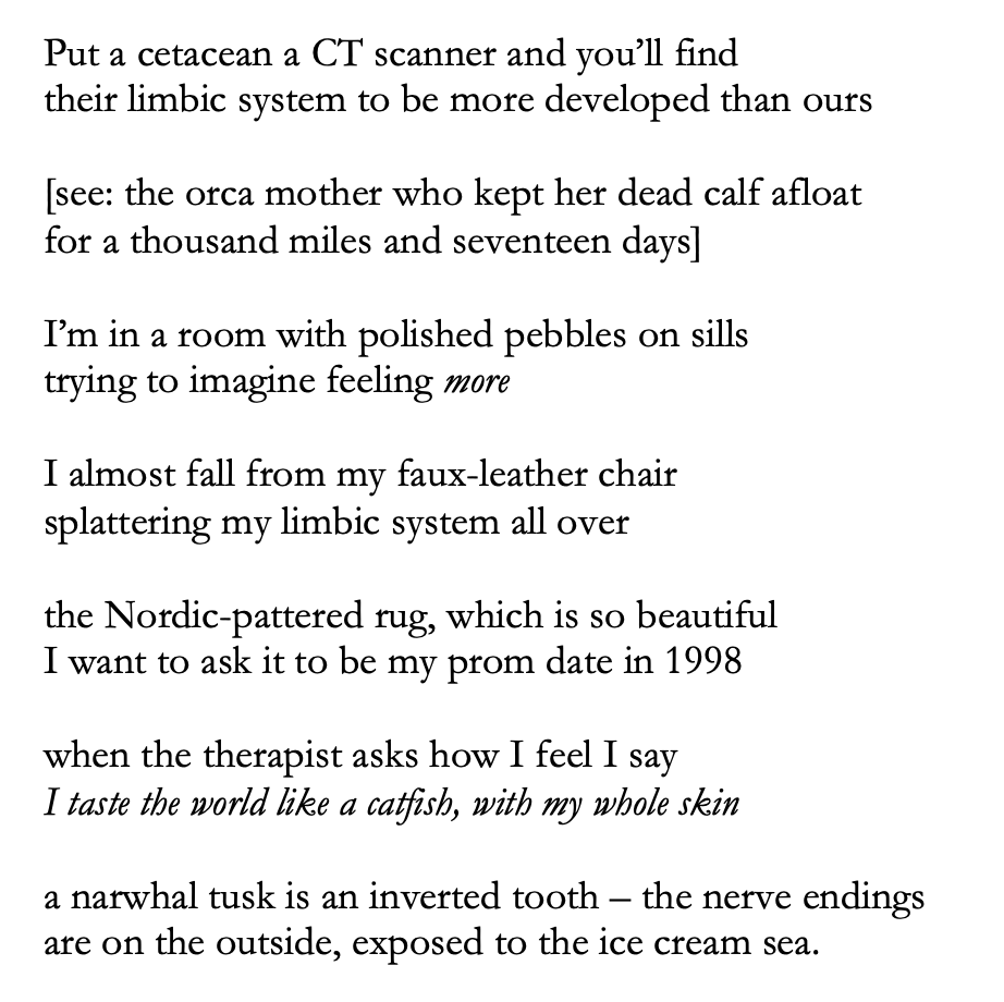 Put a cetacean a CT scanner and you’ll find
their limbic system to be more developed than ours

[see: the orca mother who kept her dead calf afloat
for a thousand miles and seventeen days]

I’m in a room with polished pebbles on sills
trying to imagine feeling more

I almost fall from my faux-leather chair
splattering my limbic system all over

the Nordic-pattered rug, which is so beautiful
I want to ask it to be my prom date in 1998

when the therapist asks how I feel I say
I taste the world like a catfish, with my whole skin

a narwhal tusk is an inverted tooth – the nerve endings
are on the outside, exposed to the ice cream sea.
